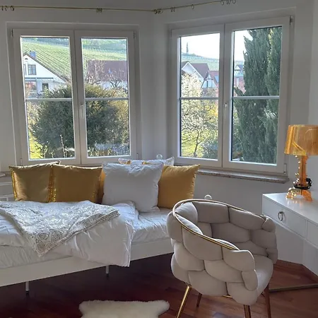 Loewe - Heated Indoor Pool, & Wellness Estate Near Basel *